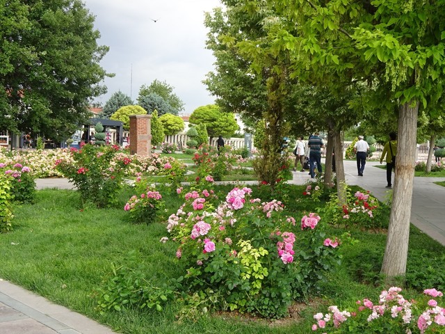 DSC00566.JPG