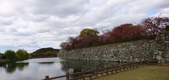 DSC_0279.JPG