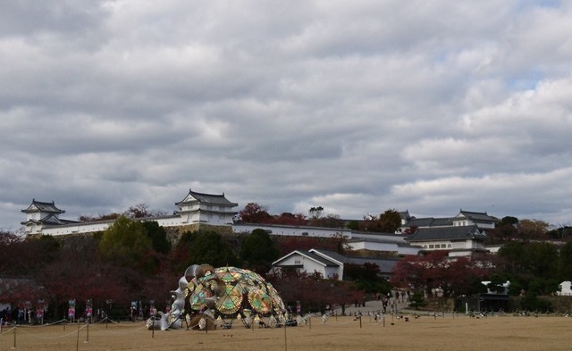 DSC_0274.JPG