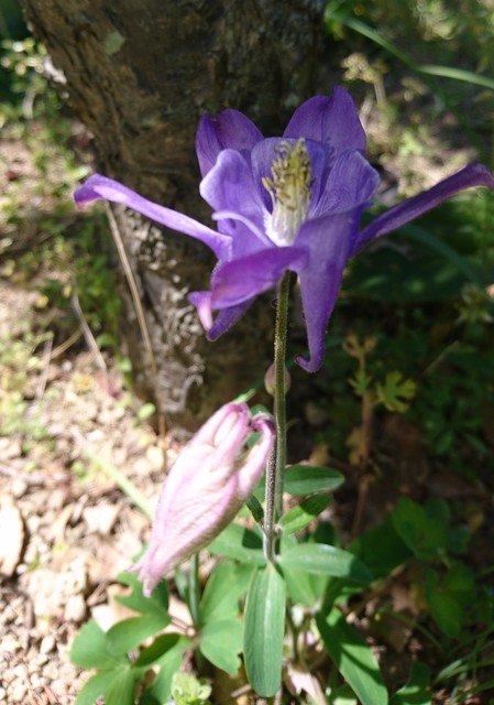 DSC_0268.JPG