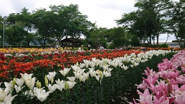 DSC_0370.JPG