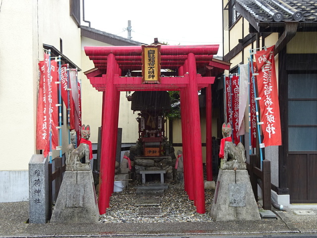DSC03265.JPG