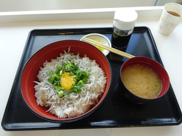 DSC03333.JPG
