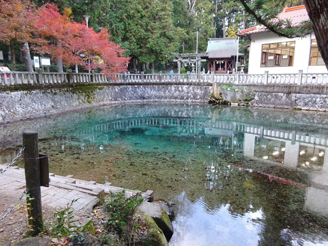 DSC03808.JPG