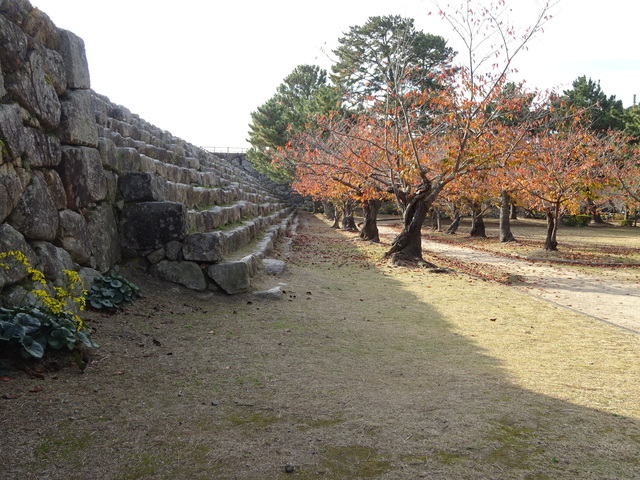 DSC03957.JPG
