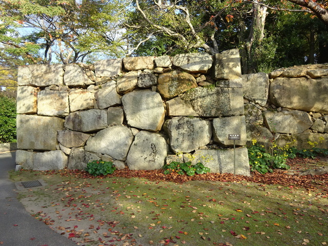 DSC03985.JPG