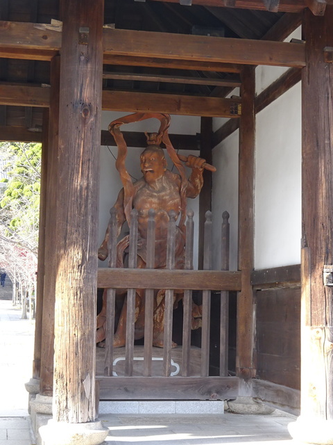 DSC04284.JPG