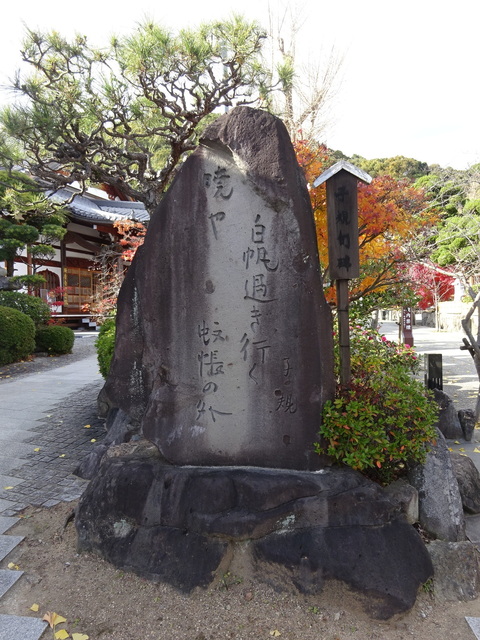 DSC04293.JPG