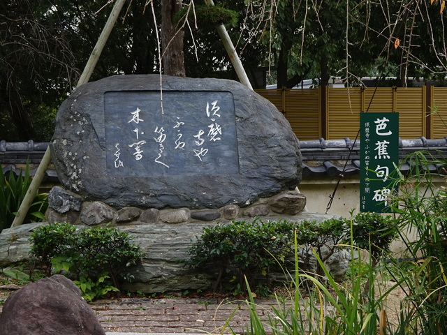 DSC04310.JPG