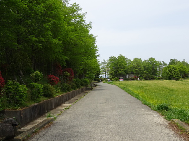 DSC05312.JPG