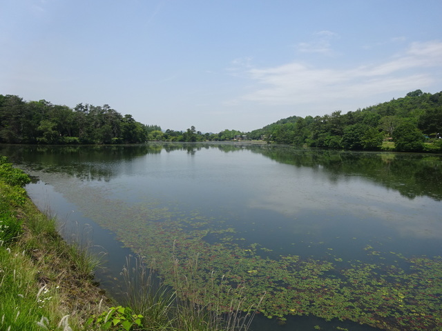 DSC05588.JPG