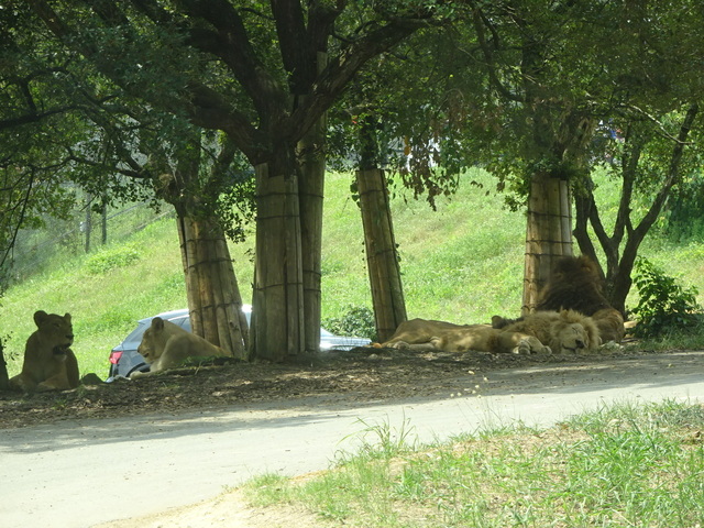 DSC06389.JPG