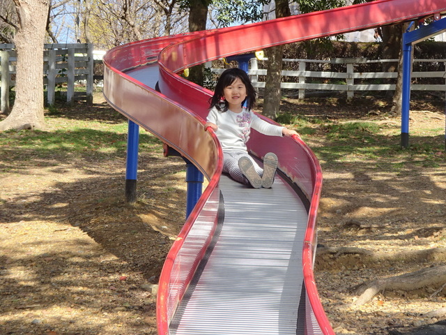 DSC07849.JPG
