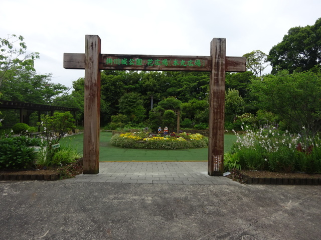 DSC08337.JPG